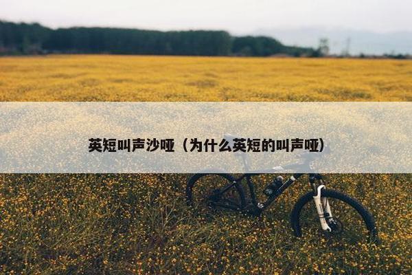 英短叫声沙哑（为什么英短的叫声哑）
