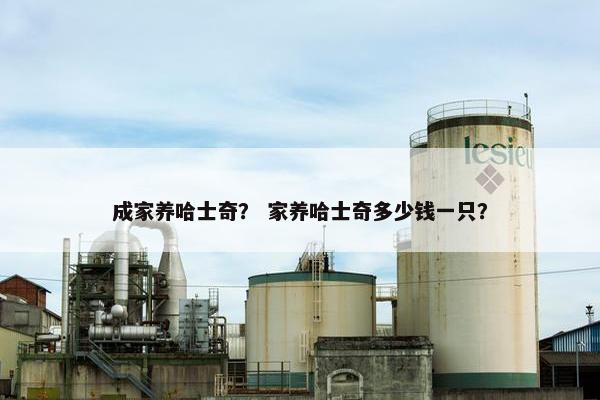 成家养哈士奇？ 家养哈士奇多少钱一只？