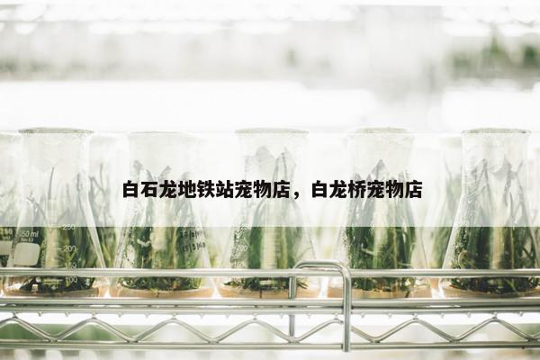 黑店