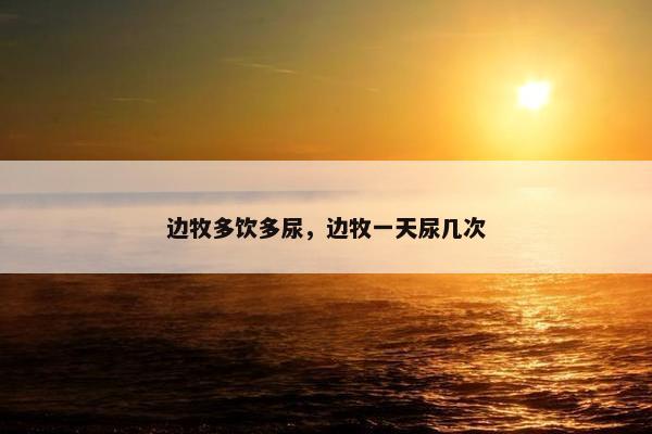 边牧多饮多尿，边牧一天尿几次