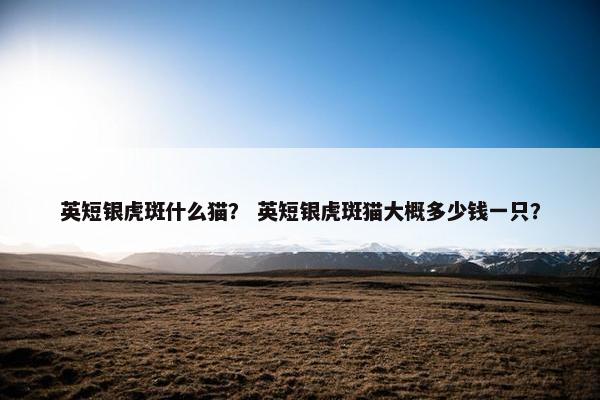 英短银虎斑什么猫？ 英短银虎斑猫大概多少钱一只？