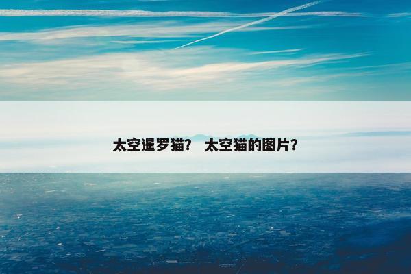 帕奇