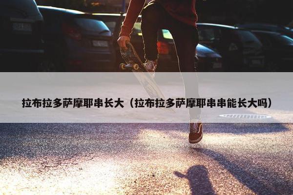 拉布拉多萨摩耶串长大（拉布拉多萨摩耶串串能长大吗）