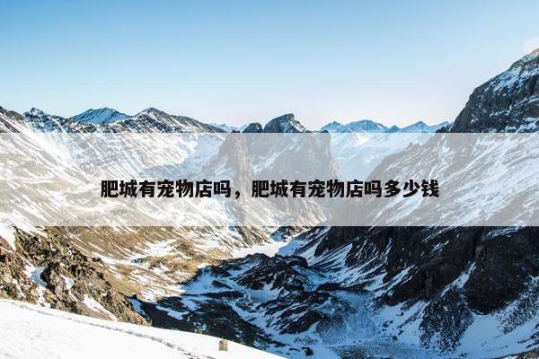 泰山区