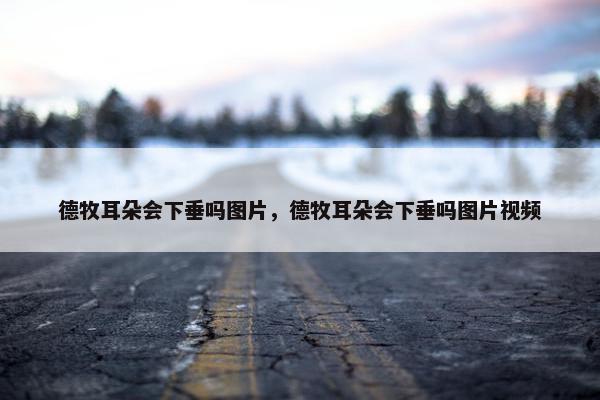 竖立