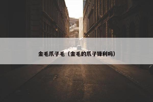 金毛 第9页