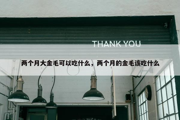 两个月大金毛可以吃什么，两个月的金毛该吃什么
