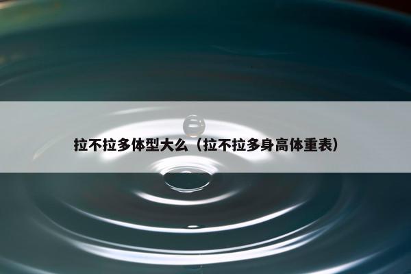 拉不拉多体型大么（拉不拉多身高体重表）