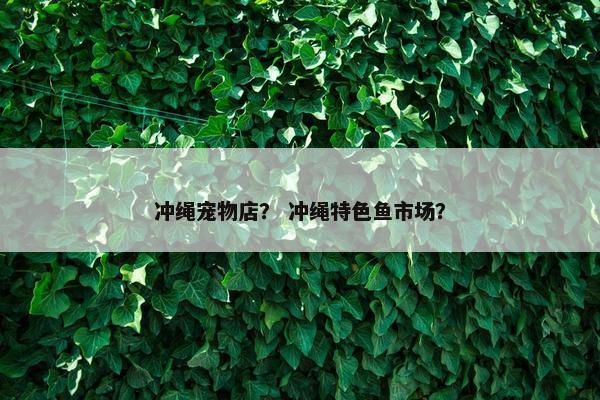 冲绳宠物店？ 冲绳特色鱼市场？