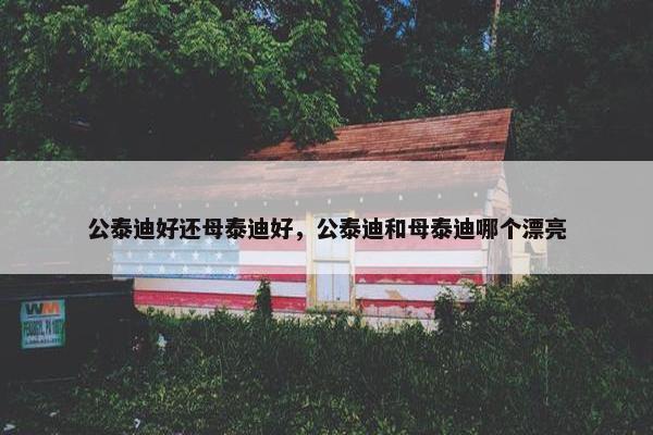 公泰迪好还母泰迪好，公泰迪和母泰迪哪个漂亮