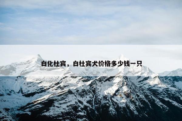 白化杜宾，白杜宾犬价格多少钱一只