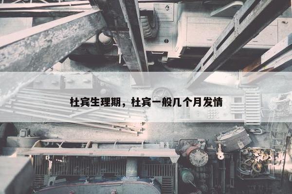 杜宾生理期，杜宾一般几个月发情