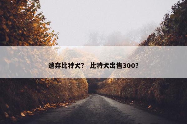 比特犬 第6页