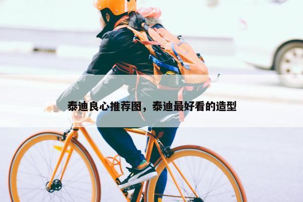 贵宾 第5页
