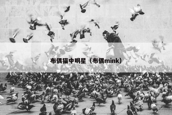 坚果