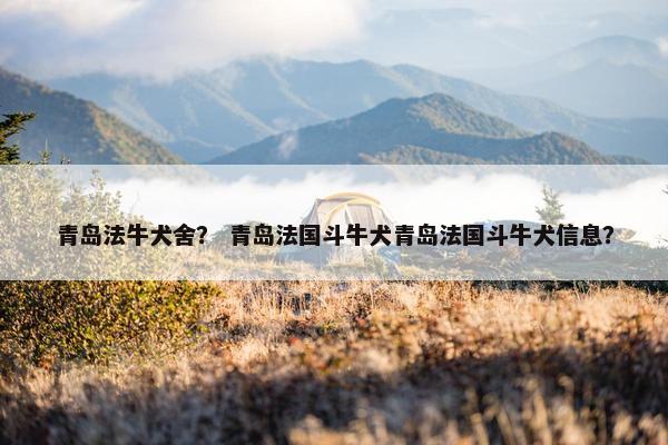 青岛法牛犬舍？ 青岛法国斗牛犬青岛法国斗牛犬信息？