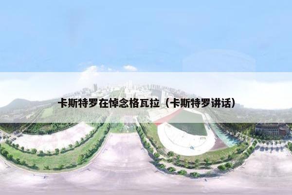 卡斯特罗在悼念格瓦拉（卡斯特罗讲话）
