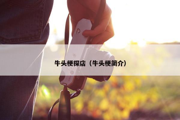 牛头梗探店（牛头梗简介）