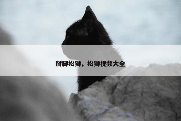 掰脚松狮，松狮视频大全