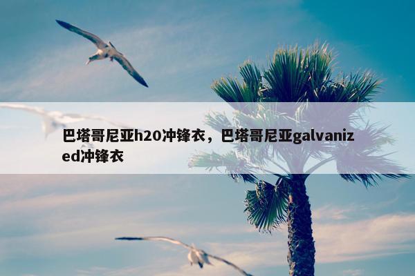 巴塔哥尼亚h20冲锋衣，巴塔哥尼亚galvanized冲锋衣