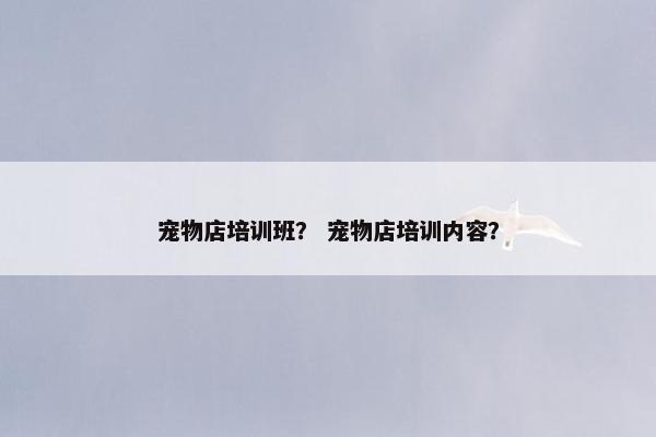 宠物美容