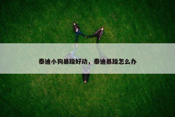 暴躁