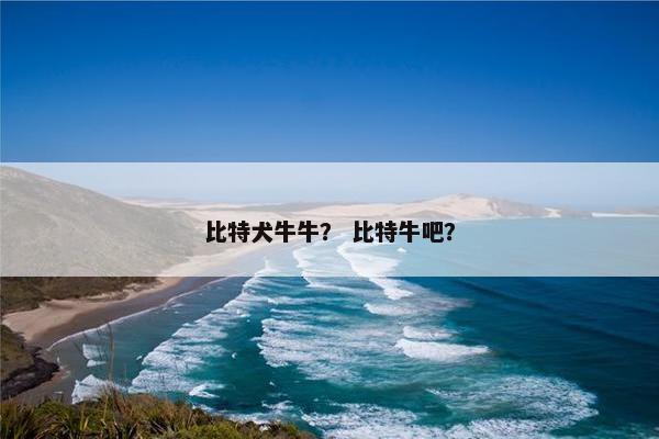比特犬牛牛？ 比特牛吧？