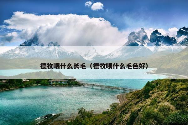 德牧喂什么长毛（德牧喂什么毛色好）