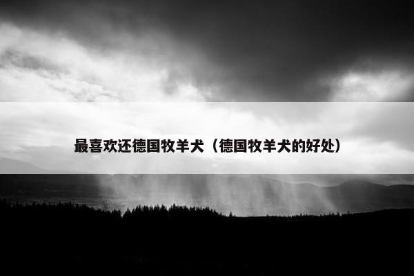 最喜欢还德国牧羊犬（德国牧羊犬的好处）