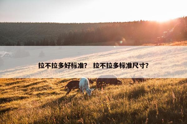 拉不拉多 第6页