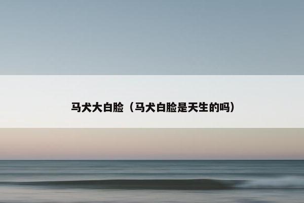 公主
