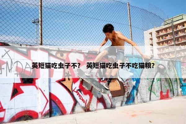 英短 第7页