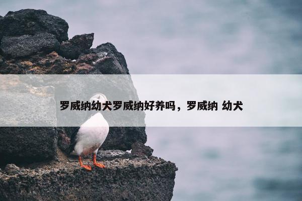 罗威纳 第6页