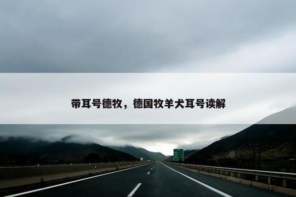 血统 第5页
