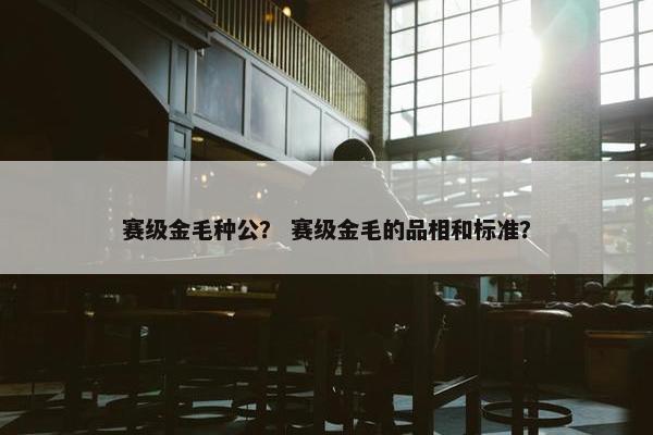 赛级金毛种公？ 赛级金毛的品相和标准？