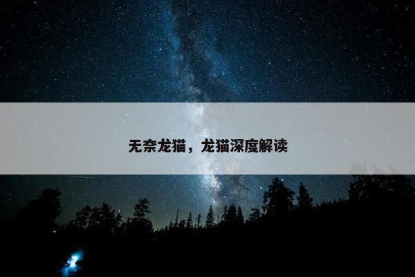 龙猫 第6页