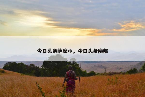 今日头条萨摩小，今日头条魔都