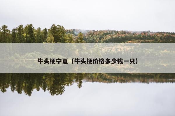 牛头梗宁夏（牛头梗价格多少钱一只）