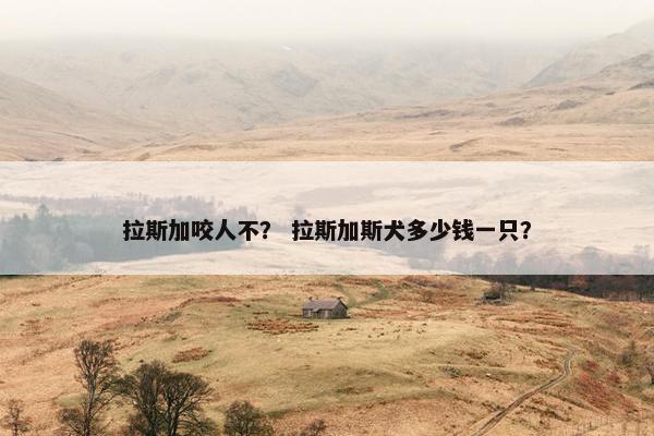 拉斯加咬人不？ 拉斯加斯犬多少钱一只？