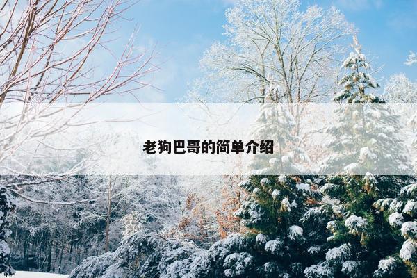 老狗巴哥的简单介绍