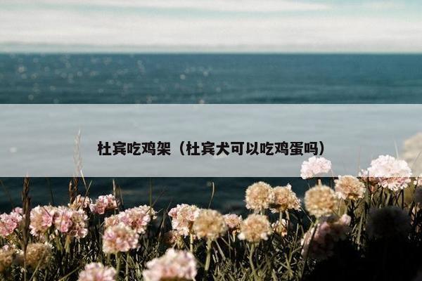 杜宾吃鸡架（杜宾犬可以吃鸡蛋吗）
