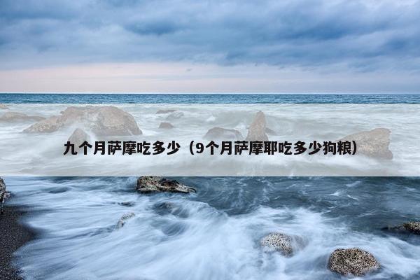 骨头