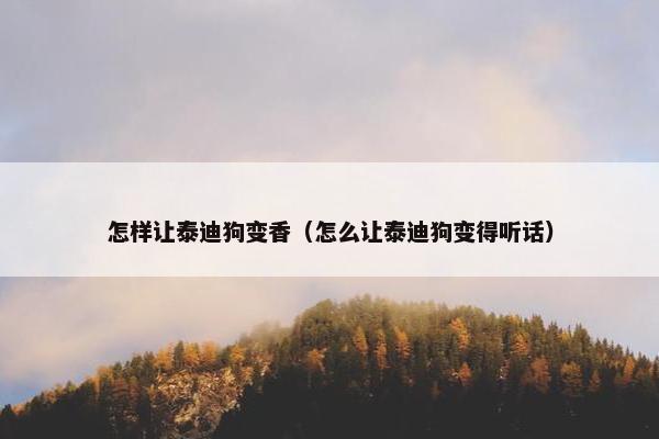 怎样让泰迪狗变香（怎么让泰迪狗变得听话）