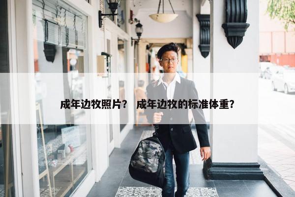 成年边牧照片？ 成年边牧的标准体重？