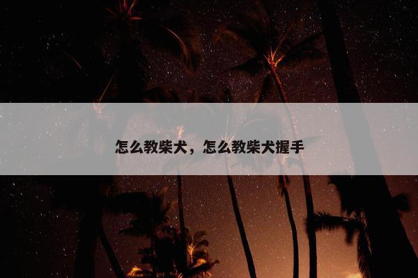 怎么教柴犬，怎么教柴犬握手