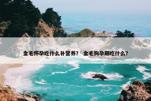金毛 第7页