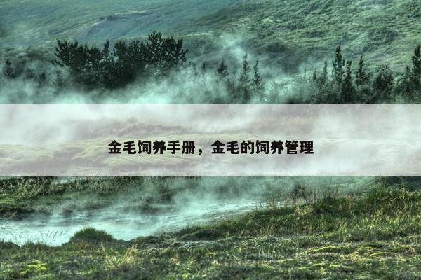 金毛 第6页