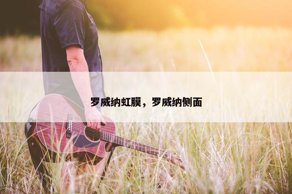 罗威纳虹膜，罗威纳侧面
