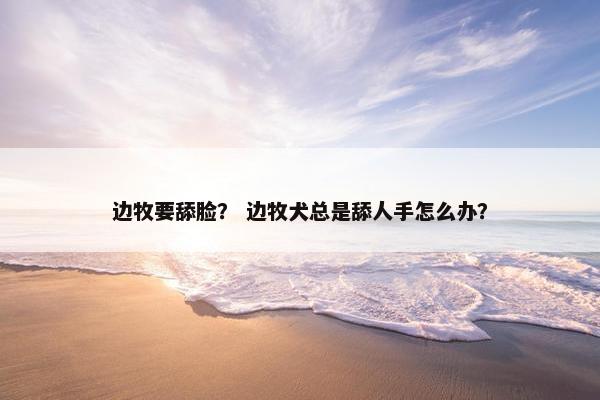 边牧要舔脸？ 边牧犬总是舔人手怎么办？