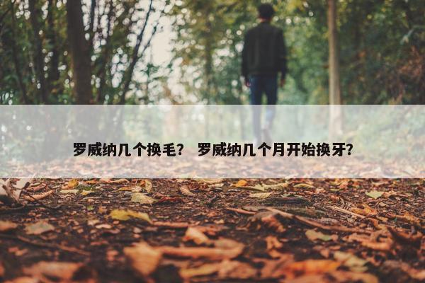 罗威纳几个换毛？ 罗威纳几个月开始换牙？